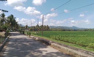 Tanah dijual di Banyuurip, Purworejo
