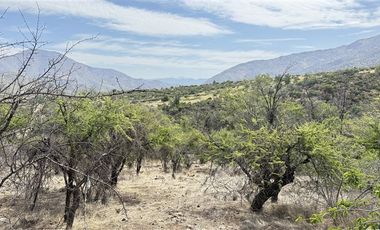 Parcela en venta en San Esteban Sector Invernáda