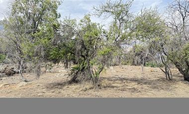 Parcela en venta en San Esteban Sector Invernáda