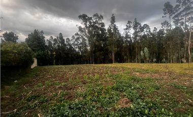 Terrenos en venta en CHILCAPAMBA vía al valle MONAY