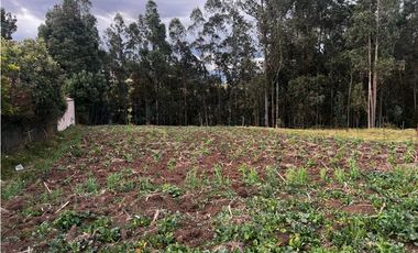 Terrenos en venta en CHILCAPAMBA vía al valle MONAY