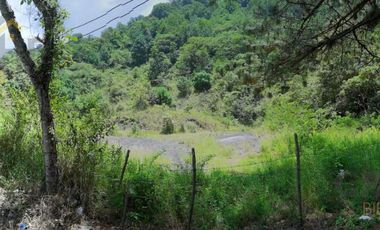 Terreno en venta en Coacoatzintla Ver sobre carretera con banco de grava