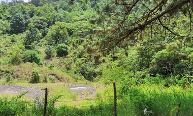 Terreno en venta en Coacoatzintla Ver sobre carretera con banco de grava