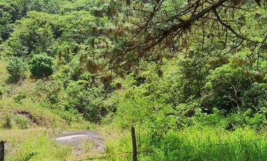 Terreno en venta en Coacoatzintla Ver sobre carretera con banco de grava