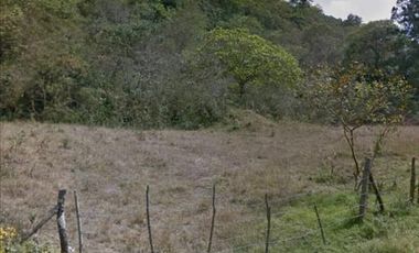 Terreno en venta en Coacoatzintla Ver sobre carretera con banco de grava
