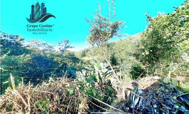 VENDO CABAÑA EN LOTE 1295 M2  CON QUEBRADA- BOQUETE