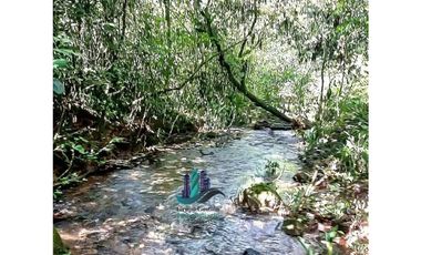 VENDO CABAÑA EN LOTE 1295 M2  CON QUEBRADA- BOQUETE