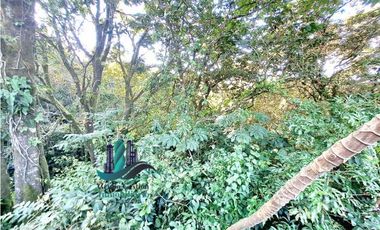 VENDO CABAÑA EN LOTE 1295 M2  CON QUEBRADA- BOQUETE