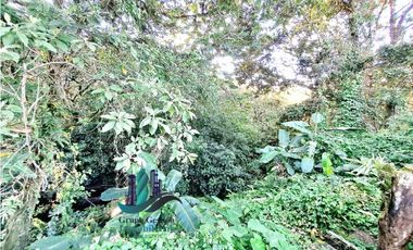 VENDO CABAÑA EN LOTE 1295 M2  CON QUEBRADA- BOQUETE