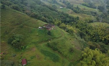 Finca para la venta en sector Dosquebradas 11 hectareas