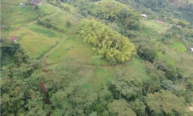 Finca para la venta en sector Dosquebradas 11 hectareas