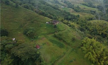 Finca para la venta en sector Dosquebradas 11 hectareas