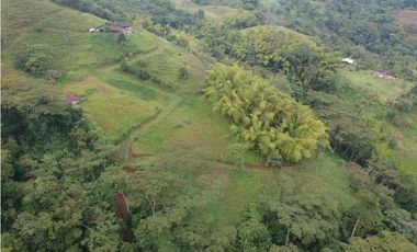 Finca para la venta en sector Dosquebradas 11 hectareas