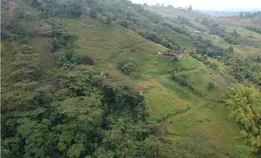 Finca para la venta en sector Dosquebradas 11 hectareas