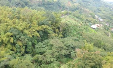 Finca para la venta en sector Dosquebradas 11 hectareas