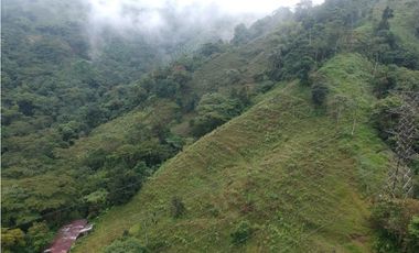Finca para la venta en sector Dosquebradas 11 hectareas
