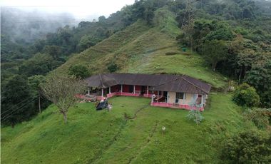 Finca para la venta en sector Dosquebradas 11 hectareas