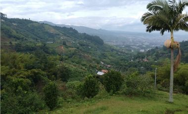 Finca para la venta en sector Dosquebradas 11 hectareas