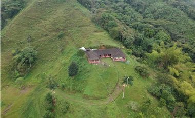Finca para la venta en sector Dosquebradas 11 hectareas