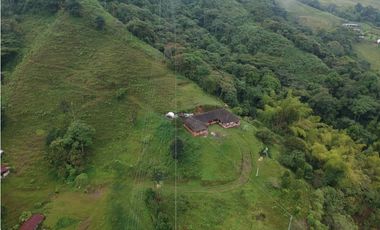 Finca para la venta en sector Dosquebradas 11 hectareas