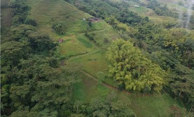 Finca para la venta en sector Dosquebradas 11 hectareas
