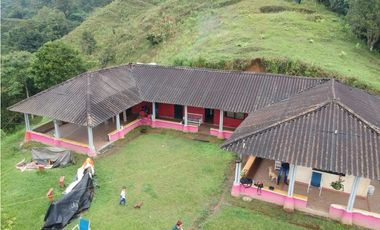 Finca para la venta en sector Dosquebradas 11 hectareas