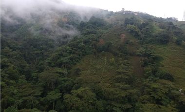 Finca para la venta en sector Dosquebradas 11 hectareas