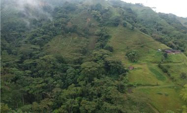 Finca para la venta en sector Dosquebradas 11 hectareas