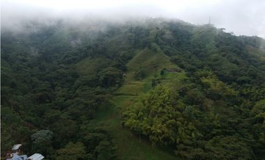 Finca para la venta en sector Dosquebradas 11 hectareas