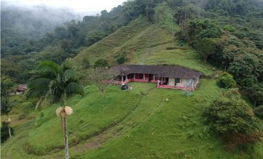 Finca para la venta en sector Dosquebradas 11 hectareas