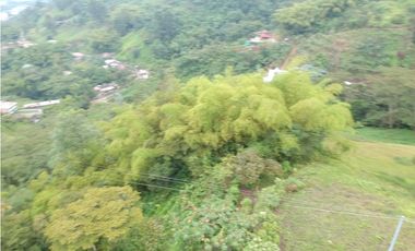 Finca para la venta en sector Dosquebradas 11 hectareas