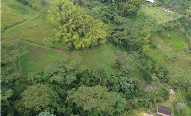 Finca para la venta en sector Dosquebradas 11 hectareas