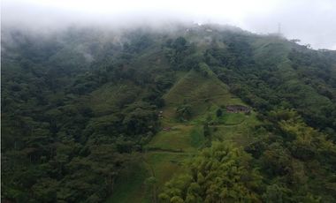 Finca para la venta en sector Dosquebradas 11 hectareas