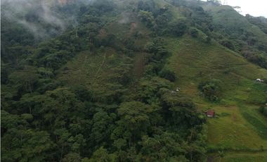 Finca para la venta en sector Dosquebradas 11 hectareas