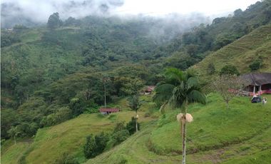 Finca para la venta en sector Dosquebradas 11 hectareas
