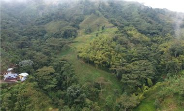 Finca para la venta en sector Dosquebradas 11 hectareas