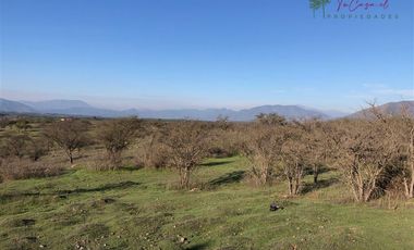 Agrícola en Venta en Codigua - Melipilla