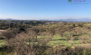 Agrícola en Venta en Codigua - Melipilla