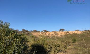 Agrícola en Venta en Codigua - Melipilla