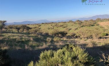 Agrícola en Venta en Codigua - Melipilla