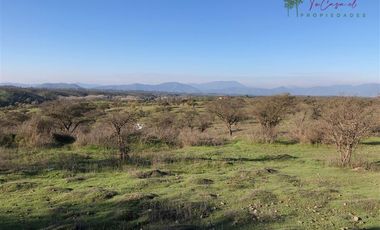 Agrícola en Venta en Codigua - Melipilla