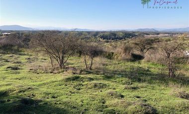 Agrícola en Venta en Codigua - Melipilla