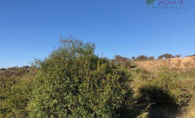 Agrícola en Venta en Codigua - Melipilla