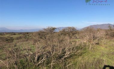 Agrícola en Venta en Codigua - Melipilla