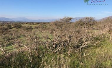 Agrícola en Venta en Codigua - Melipilla