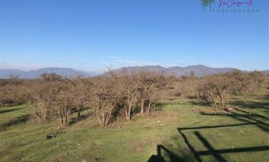 Agrícola en Venta en Codigua - Melipilla