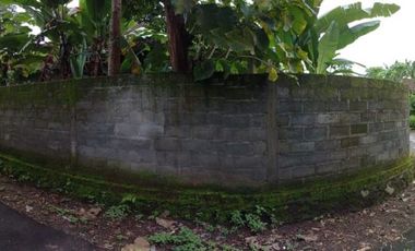 Tanah Luas 1.260 m2 Cocok Untuk Investasi dekat Polsek Borobudur