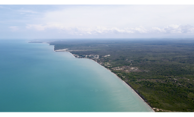 VENTA LOTE FRENTE AL MAR - PLAYA - PALOMINO - DIBULLA