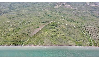 VENTA LOTE FRENTE AL MAR - PLAYA - PALOMINO - DIBULLA