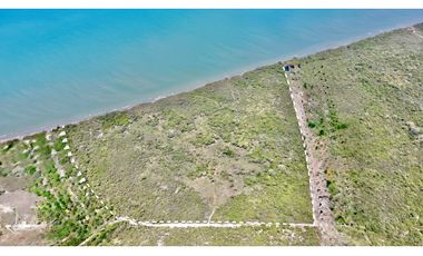 VENTA LOTE FRENTE AL MAR - PLAYA - PALOMINO - DIBULLA